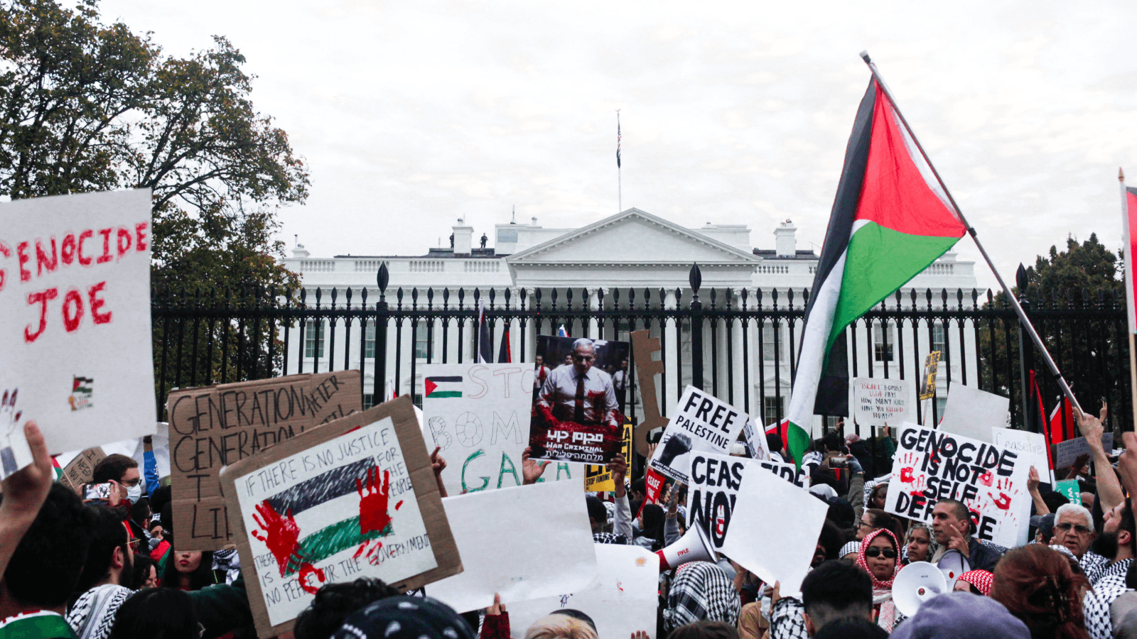 Cover Image for A tidal wave of support for Palestine marks a turning point: ‘This movement cannot be crushed’