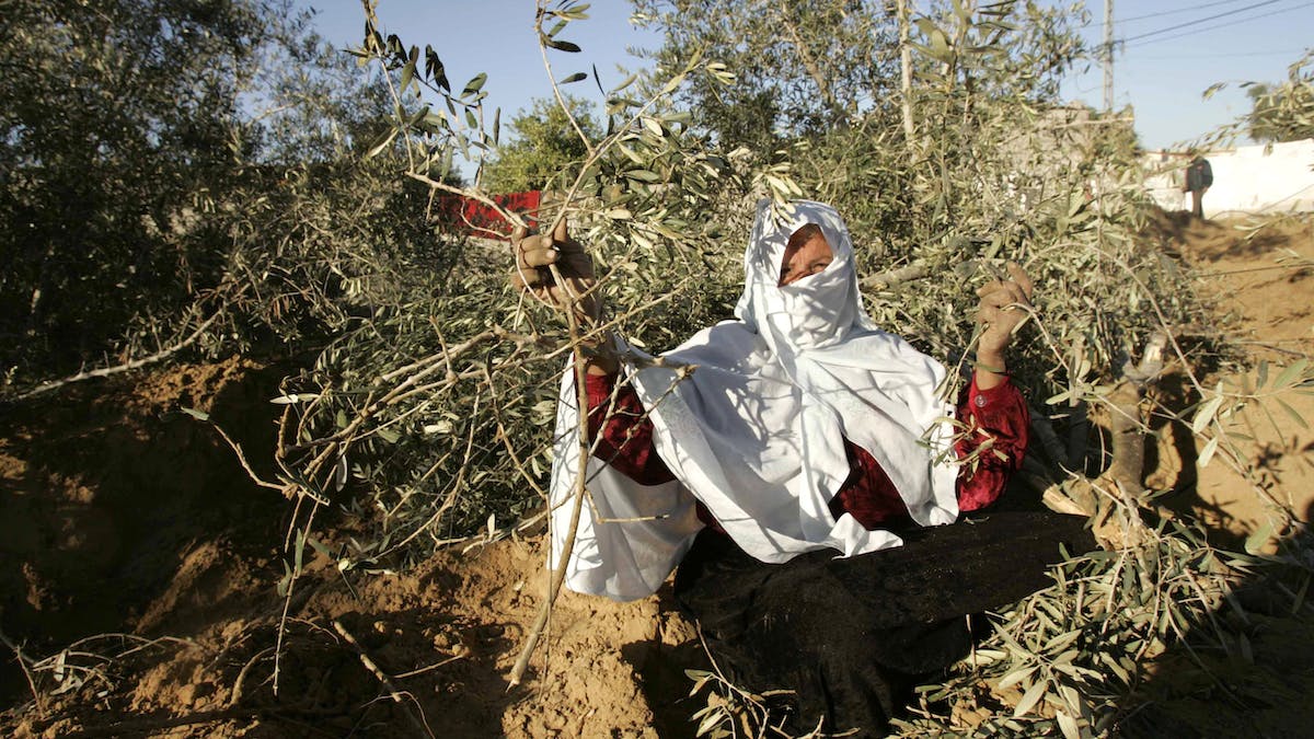 Cover Image for Don’t ignore Israel’s ‘ecocide’