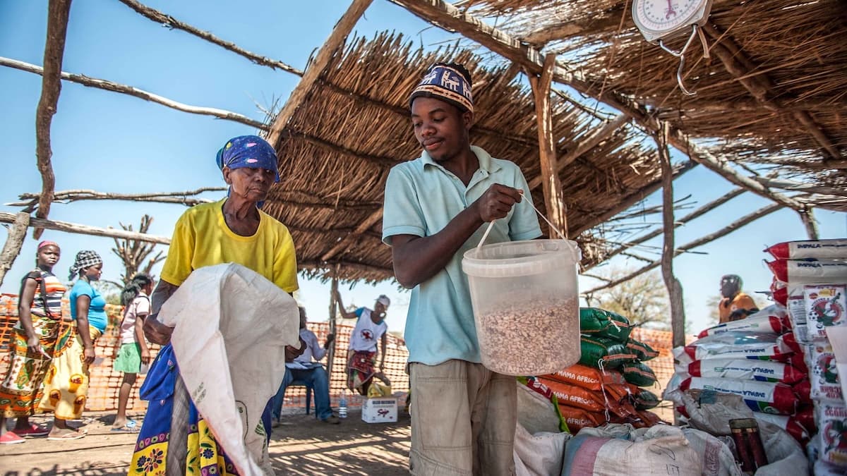 Cover Image for Climate finance has failed Africa twice over. How can we fix it?
